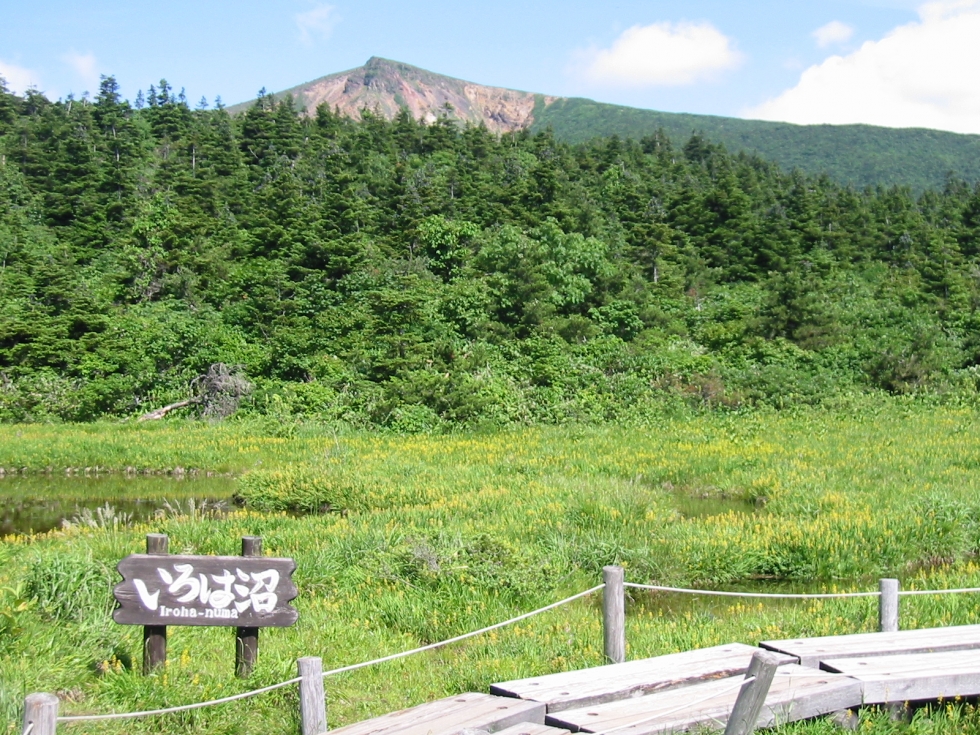 社長の想い（２０回目）